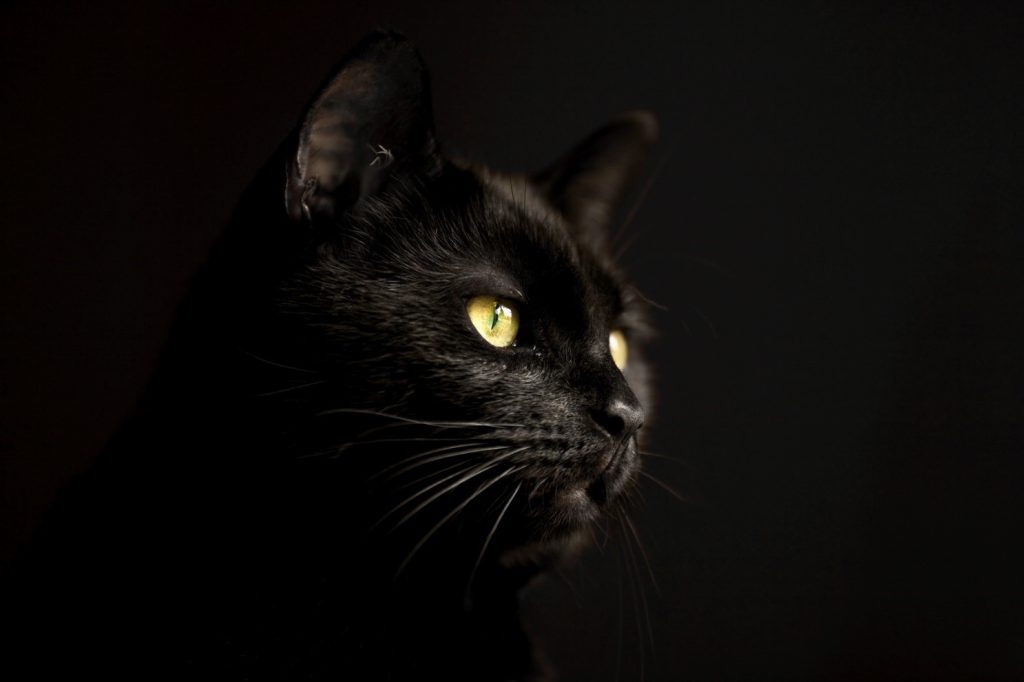 Is Black Considered A Lucky Or Unlucky Color In Gambling?